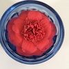 wanda007242
